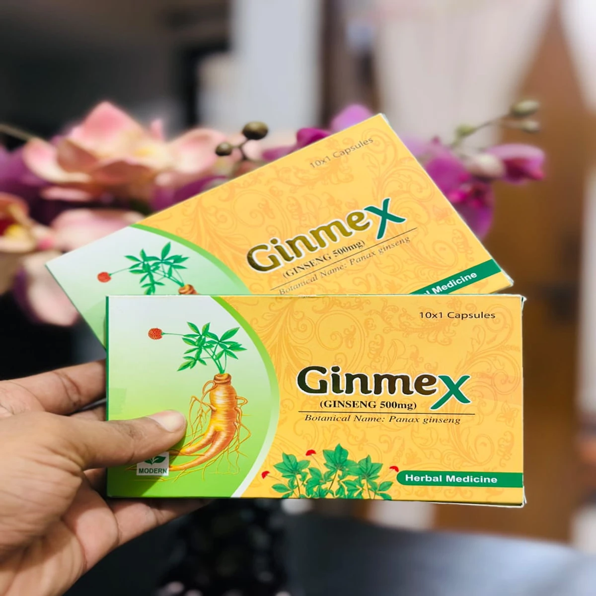 Ginmex